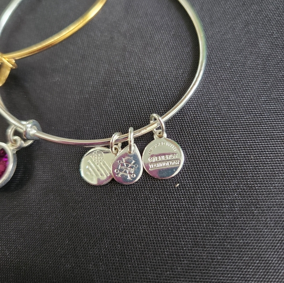 Alex and Ani Expandable Coppure Bangle Purple Stone Charm set of 2 - Picture 4 of 8
